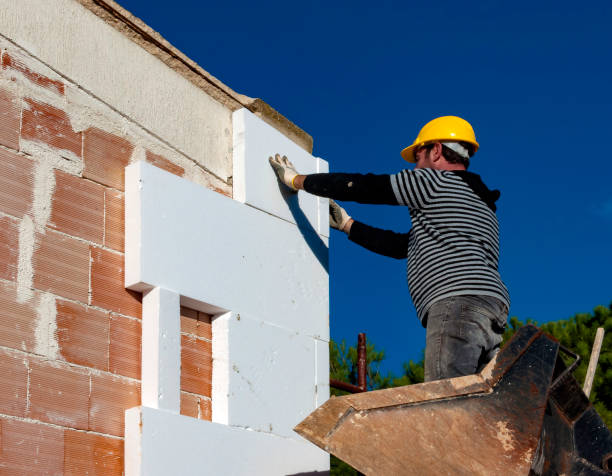 Best Geographic-Specific Insulation Services in Mcminnville, TN