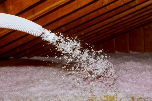 Best Eco-Friendly Insulation in Mcminnville, TN