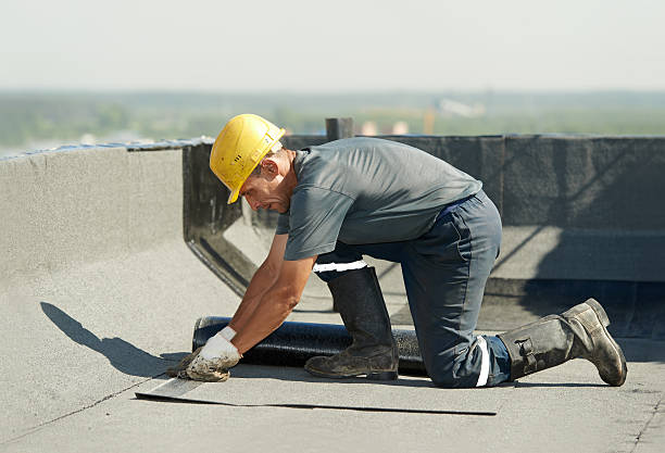 Best Insulation Maintenance and Repair in Mcminnville, TN